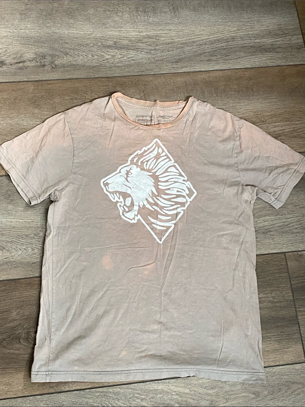 Men's Graphic Lion Tee - Patagonia